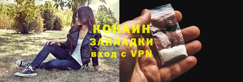 ОМГ ОМГ ССЫЛКА  даркнет сайт  Выборг  COCAIN FishScale 